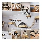 Katzen Kletterwand Katzenliege Wandliege Katzenbett Katzenregal Wandmontage XXL Wohnzimmer Schlafzimmer