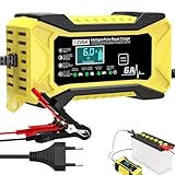 Protoence Autobatterieladegerät Automobil 12 Volt - Intelligenter Tragbarer 12V Batterieladegerät,Auto Zubehör Mit LCD Display Und Temperaturkompensation Für Auto Boot Motorroller Anhänger