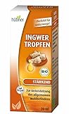 Hübner Ingwer Tropfen (20 ml)