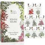 Bonsai Samen Set: Premium Bonsai Starter Kit mit 8 Sorten Bonsai Saatgut – 40 Samen im Bonsai Anzuchtset zum Bonsai Züchten für den Mini Garten und Zen Garten, Bonsai Baum Samen Set von OwnGrown