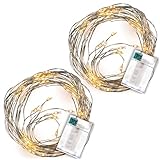 Nipach GmbH Lichterregen – 2er Set je 64 LED warm weiß 8 silberne Drähte mit je 8 LED Batterie Timer Lichterkette Weihnachtsdeko Lichterbündel Xmas-Deko