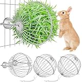 Otoolling 2 Stück Kaninchen-Heuball-Futterstation aus Edelstahl, zum Aufhängen, Heuhalter, Spender, Kleintiere, Gras-Futterstation, Ballspielzeug für Kaninchen, Hamster, Meerschweinchen, Chinchilla