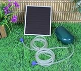 Wehmann Solar Teichbelüfter Power Doppelpumpe 200 l pro Std. Teichbelüfter für Tag und Nacht !!!