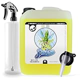 Nuke Guys Bug Swipe Auto Insektenentferner 5 Liter Kanister mit Dispenser, Leerflasche + Trigger - optimal auch für Motorrad Reinigung, ideal für hartnäckige Verschmutzungen wie Insektenreste …