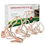 GARDIGO® Wühlmausfalle 4er Set Bayrische Form aus Kupfer I 5,5 x 8 x 15,5 cm I Wiederverwendbare Wühlmausfallen zum Wühlmäuse bekämpfen I Wühlmausschreck Wühlmaus Abwehr Wühlmausbekämpfung