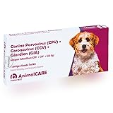 BestPlug Canine Parvovirus CPV + Coronavirus CCV + Giardien GIA Tier Antigen-Test mit Wirksamkeitsprüfung Schnell-Test für Hunde, Katzen und andere Tiere