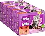 Whiskas Junior Katzennassfutter Klassische Auswahl in Sauce, 48 Portionsbeutel, 12x85g (4er Pack) – Hochwertiges Katzenfutter nass, für heranwachsende Katzen von 2 bis 12 Monaten