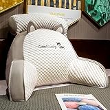 Lesekissen mit Zerkleinertem Memory-Schaumstoff mit Abnehmbare Nackenrolle - Ideal als Rückenstütze zum Lesen, Arbeiten, und Spielen auf dem Bett, Sofa, oder Couch (Bohnensamt grau, 65 * 45cm)