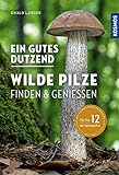 Ein gutes Dutzend wilde Pilze: Finden & Genießen