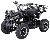 Actionbikes Motors Kinder Elektro Miniquad ATV Torino |...