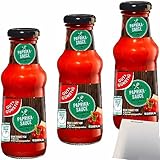 Gut&Günstig Paprika-Sauce ungarischer Art feurig-pikant 3er Pack (3x250ml Glas) + usy Block