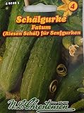 Schälgurke Fatum Gurke Senfgurke