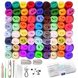 HAASIKI Filzwolle 72 Farben Set, 216g Märchenwolle aus Schafwolle für Nassfilzen & Trockenfilzen, Premium Merinowolle zum Filz Basteln, Filzen Starterset mit Naturfasern