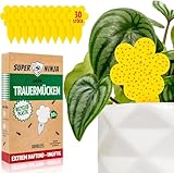 Super Ninja Trauermücken bekämpfen - 30er Pack, hochwirksame Gelbtafeln für den Innenbereich, gelbe Klebefalle für Pflanzen, ungiftig und umweltfreundlich, Gelbsticker 3 Monate verwendbar