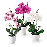 PASCH® Kunstblumen im Topf (35cm) - 3er Set Orchideen künstlich abgestimmtes Arrangement in Hochglanz-Keramiktöpfen, Deko Blumen künstlich, künstliche Orchideen (Weiß-Rosé)