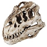 Lifelike Harz Dinosaurierschädel Ornament handgefertigtes Halloween -ation Realistische Skelettprop für Home Bar Party 15x10.6x8cm