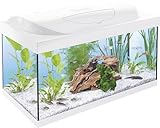 Tetra Starter Line 54 L Aquarium Weiß, Komplett-Set - inkl. Tag- & Nachtlicht LED-Beleuchtung, Innenfilter, Heizer, Fischfutter und Wasseraufbereiter