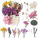LAUMOE Trockenblumen, Getrocknete Blumen, Trockenblumen Zum Basteln Klein Set ​für Kunst DIY Harz Scrapbooking Handwerk Karten Machen (Stil 3)