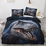 Winter Bettwäsche 220x240 Dinosaurier - Tiere Bettbezug 220x240 3 teilig, Weich Warme & Bügelfrei Mikrofaser Bettwäsche-Sets, Wendebettwäsche mit Reißverschlus und 2 Kissenbezug 80x80 H-&3-150