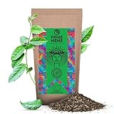 Pachamama Guayusa Tee Pure 500g | Bio Ilex Guayusa aus Ecuador | Schwester von Yerba Mate Tee | Kaffee Alternative | No Additives
