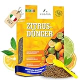LERAVA® Zitrusdünger für alle Zitruspflanzen [Bio] - (800g) - Biologischer Zitruspflanzendünger - Citrus dünger für Zitronenbaum, Orangen, Limetten, Olivenbaum, Kumquat und mediterrane Pflanzen