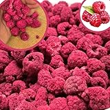 BULK & Tasty. Gefriergetrocknete Himbeeren 600g Gefriergetrocknete Früchte - Ohne Zusätze 100% Pur Trockenfrüchte Gefriergetrocknet Freeze Dried Raspberry Getrocknete Himbeeren Gefriergetrocknet
