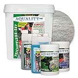 AQUALITY 5er Teichpflege Komplettset (Perfekte Gartenteich-Pflege. Wasseraufbereiter, Teichklärer, Teich-Aktiv und Fadenalgen-Vernichter + GRATIS Filtervlies), Set-Größe:Base Teichpflege-Set