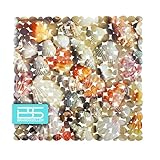 Brandsseller Duschmatte ca.53x53 cm Duscheinlage Badewanneneinlage Druckdesign - Muscheln