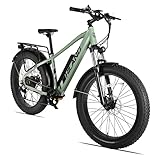 HILAND 26 Zoll Fat Tire E-Bike mit Powerful Motor Adults...