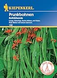 Kiepenkerl Prunkbohnensamen Rotblühende - Widerstandsfähige Rankpflanze, üppige rote Blüten, für raue Lagen, Gemüsesamen für Garten & Balkon, Bohnen Samen,