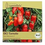 Samenliebe BIO Tomaten Samen alte Sorte San Marzano 2 italienische Tomate längliche Romatomate rot 10 Samen samenfestes Gemüse Saatgut für Gewächshaus Freiland und Balkon BIO Gemüsesamen