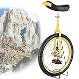 Einrad Selbstbalance-Heimtrainer für Fitness und Outdoor-Sport, 24 Zoll