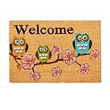 Relaxdays Fußmatte Kokos, mit Welcome Schriftzug & Eulen-Motiv, Türvorleger innen & außen, Kokosmatte 40x60 cm, Natur