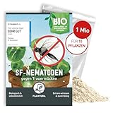 Plantura SF-Nematoden gegen Trauermücken, zum Gießen, hochwirksam & biologisch, Nützlinge aus Deutschland, 1 Mio für 1 m²/ ca. 10 Pflanzen