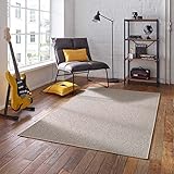 Taracarpet Kurzflor-Teppich Joy Flachgewebe Schlingenteppich für Wohnzimmer Schlafzimmer und Kinderzimmer beige 280x370 cm