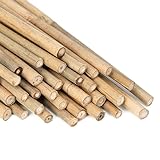 Bambusrohre zur Pflanzenunterstützung, robust, professionelle Bambus-Gartenrohre – 12 Stück à 30 cm