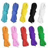 HUSZZM 10 Stück Paracord Schnur 550 Paracord Seile Parachute Cord Paracord Bänder Set Zeltseil für Armband DIY Schlüsselanhänger Outdoor-Aktivitäten Schlüsselanhänger 4mm 10 Farbe