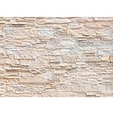 Runa Art Fototapeten 396 x 280 cm Steinwand 3D Effekt - Vlies Wanddekoration Wohnzimmer Schlafzimmer - Deutsche Manufaktur - Beige 9082012a