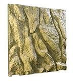 Exo Terra Steinmotivrückwand für Terrarien, naturgetreues Steinmotiv, 60 x 60cm