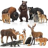 TOYMANY 12 Stück Tiere-Figuren Set Wald Spielfiguren Spielzeug,Nordamerikanische Waldtierfiguren Enthält Waschbär,Luchs,Wolf,Bär,Adler,Plastiktiere Zoo Dschungel Wild Tierfiguren für Kinder