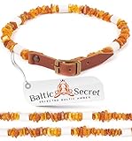 Bernsteinkette Hund mit EM Keramik Pipes - Effektive MIKROORGANISMEN - Bernsteinhalsband Hunde - Bernstein (20-25 cm)