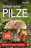 Einfach sicher Pilze sammeln: Speisepilze & ihre giftigen Doppelgänger (BLV Pilze)