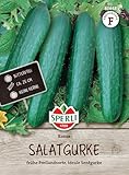 Sperli Salatgurkensamen Konsa, F1 80848 - Gemüsesamen für das Anzüchten leckerer und bitterfreie Salatgurken. Die 'Konsa' Samen sind die perfekten Freilandgurken. - Gurken Pflanzen