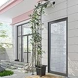 Robuster 240 cm halbseitiger Gartenbogen, schwarzer Pflanzenstützbogen aus Metall für Pavillons, wetterfeste halbseitige Gartenlauben-Pergola, Hochzeitsbogen, Gartendekoration (Farbe: Schwar