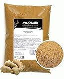 Minotaur Spices | Ingwer gemahlen 2 x 500g (1 Kg), Ingwerpulver, Ingwerwurzel gemahlen, Ginger mild