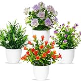 Betylifoy Künstliche Pflanzen mit Topf Kleine Topfpflanze 4 Stück Kunstpflanze mit Blume Grünpflanzen Dekor Plastik Pflanzen Indoor Dekor für Büro Haus Balkon Wohnzimmer Badezimmer
