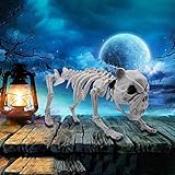 JOYIN Halloween-Dekoration, 16', Pose-N-Stay Welpen-Skelett Hundeskelett Kunststoffknochen mit beweglichen Gelenken für Pose Skelett Requisiten für drinnen und draußen, gruselige Szene, Partyzubehör