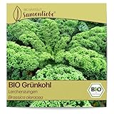 Samenliebe BIO Grünkohl Samen Gemüsesamen alte Sorte Lerchenzungen 200 Samen Gemüse Samen Garten Grünkohl Saatgut samenfeste einjährig Pflanzen für Gewächshaus, Garten und Balkon