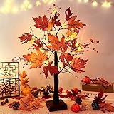 ACAREY Herbstdeko Ahornblatt Baum Lichter mit 24 LEDs, Lichterbaum Für Innen Herbst Deko 61cm Lichterbaum mit Timer, Herbstblätter Deko Halloween Kürbis Deko Für Tisch Herbstdeko Zum Aufhängen