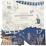 Saatgut Adventskalender 2023: Nachhaltiger Blumen Samen...